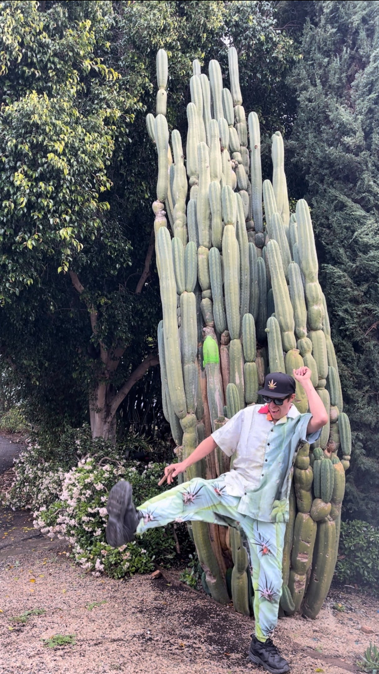 CACTUS PANTS !