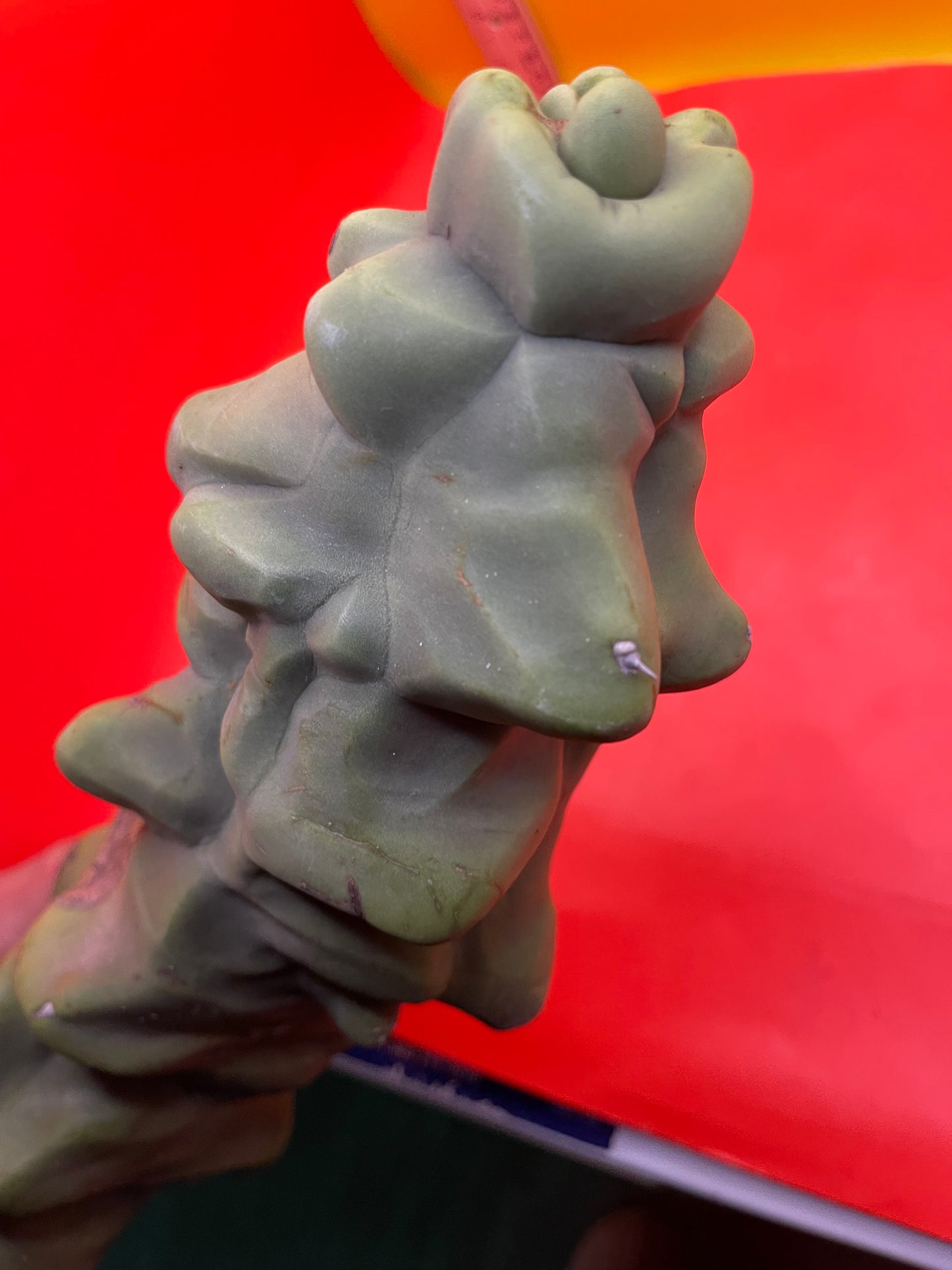Obesa Totem !!!