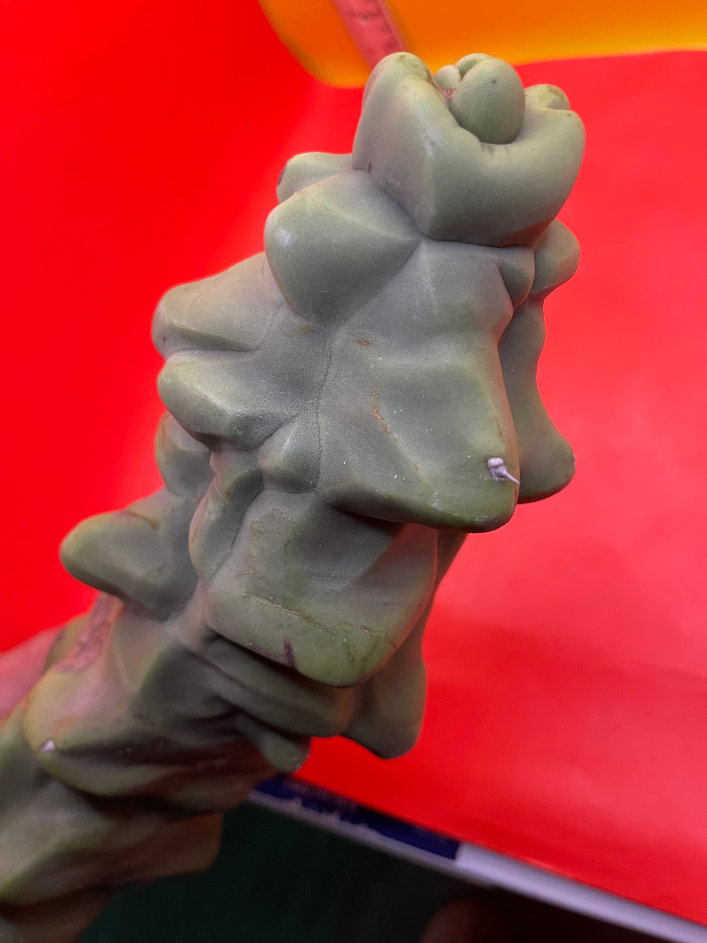 Obesa Totem !!!