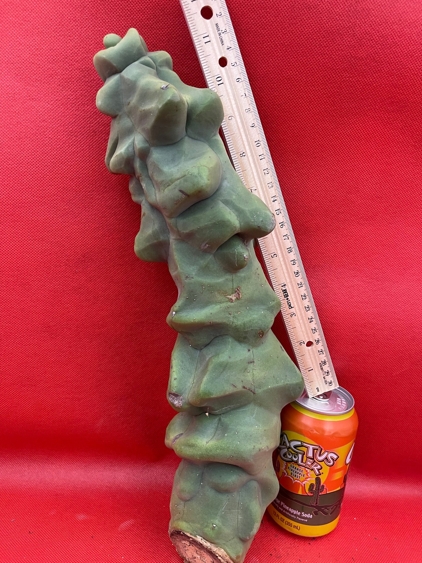 Obesa Totem !!!