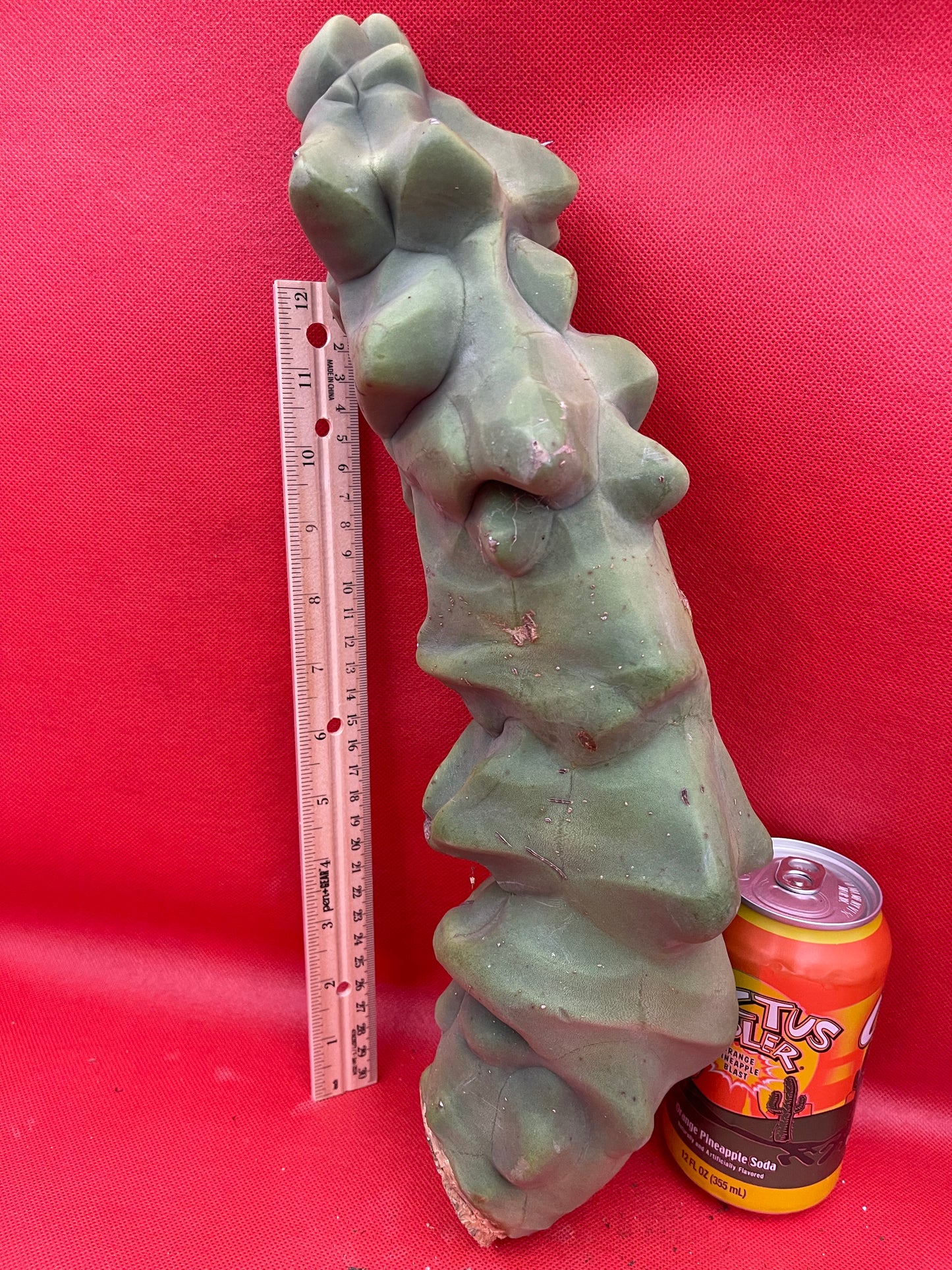 Obesa Totem !!!