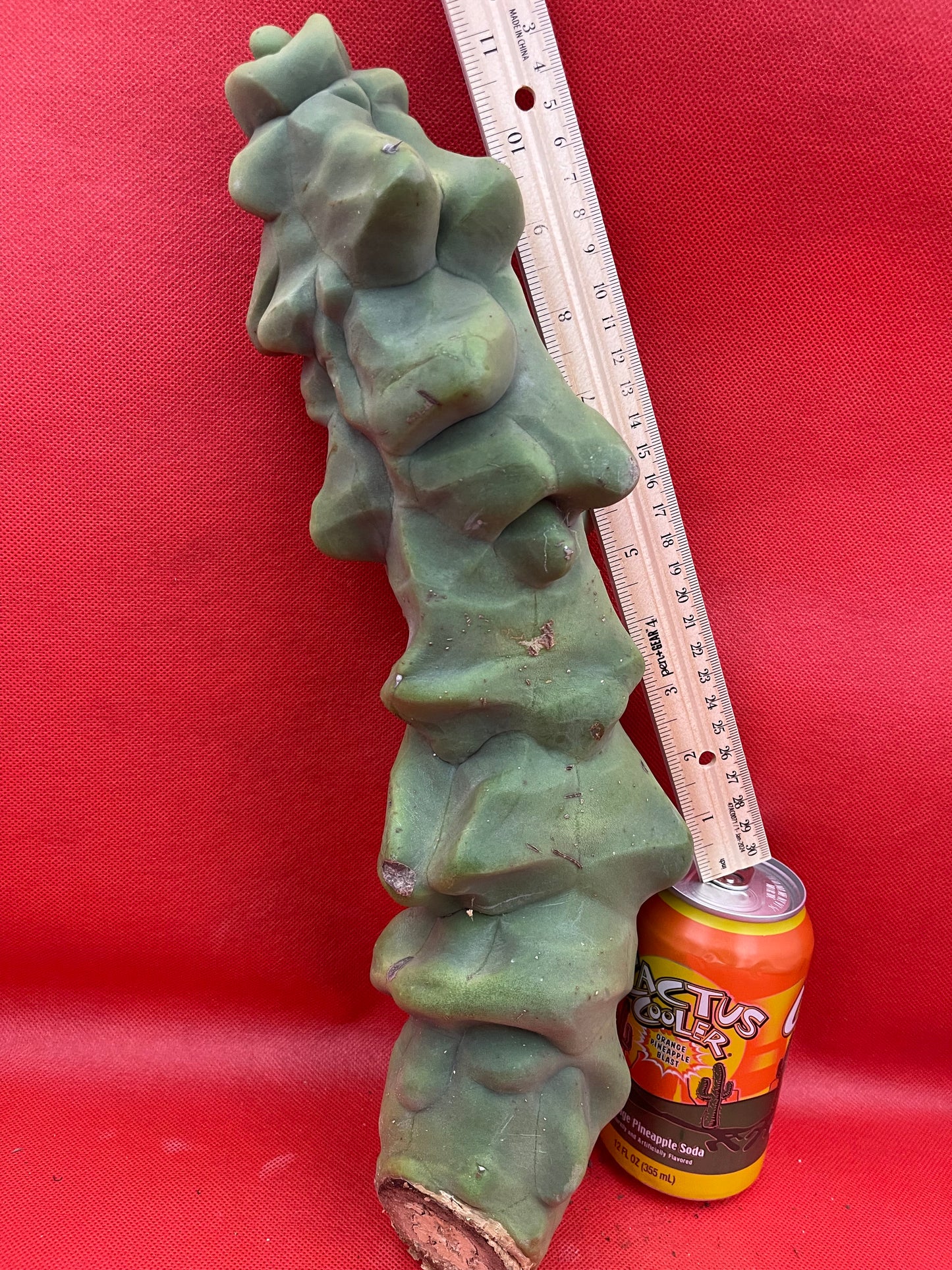 Obesa Totem !!!