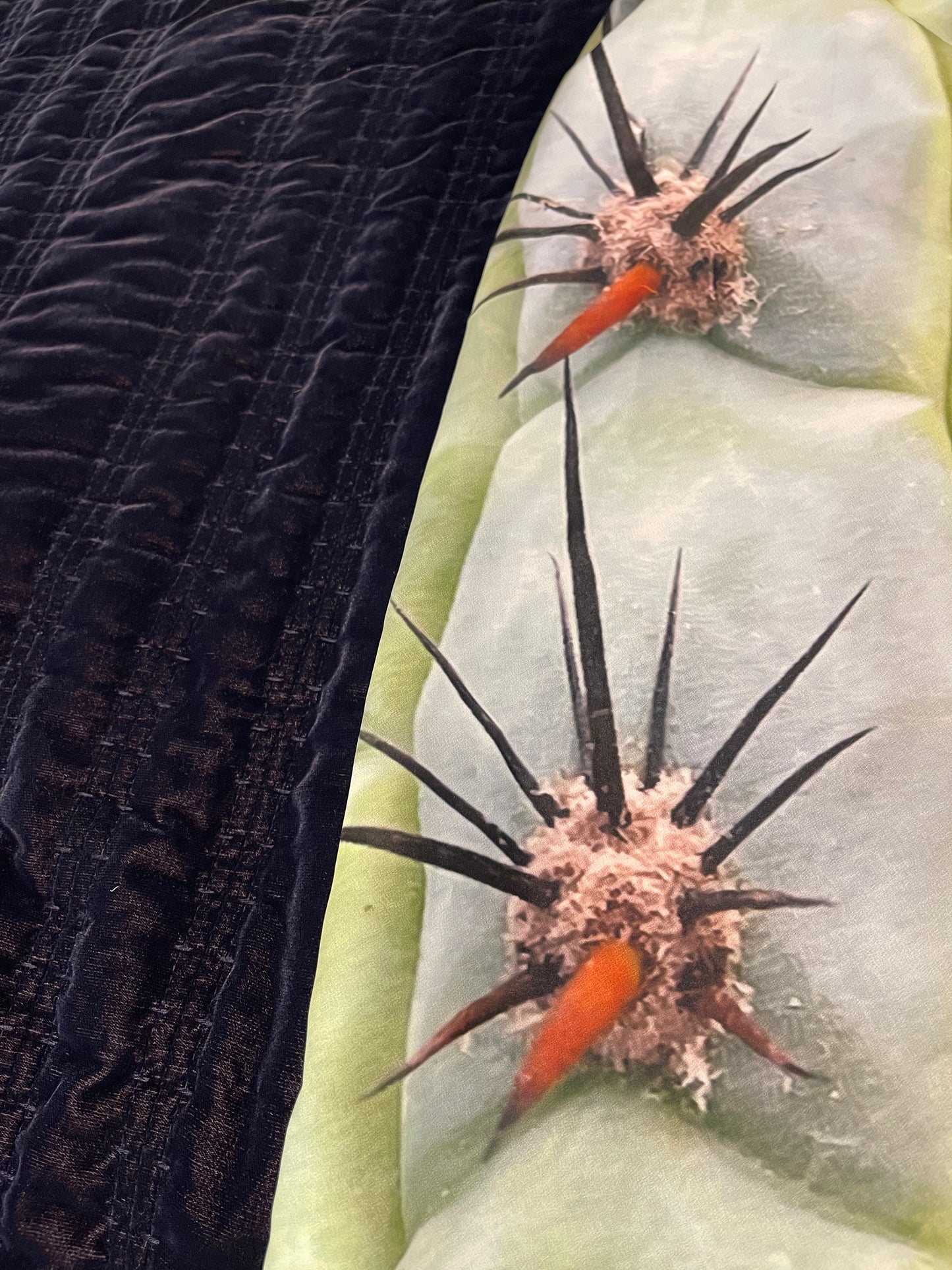CACTUS PANTS - real cactus !!!