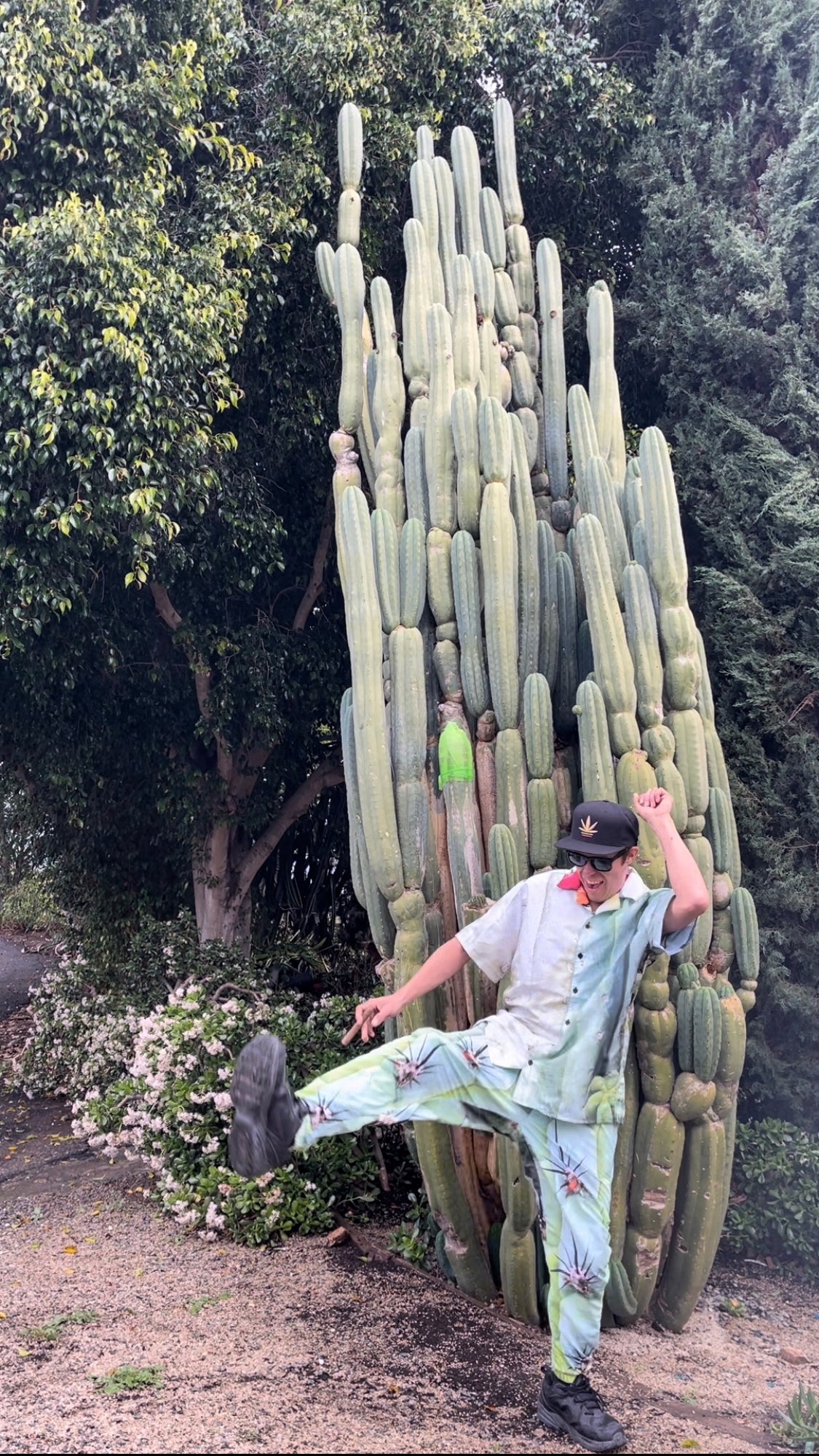 CACTUS PANTS - real cactus !!!