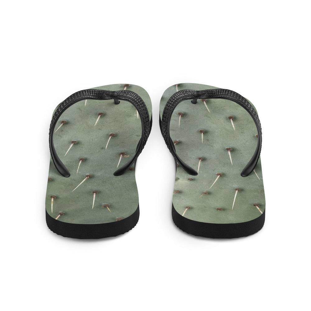 Flip-Flops