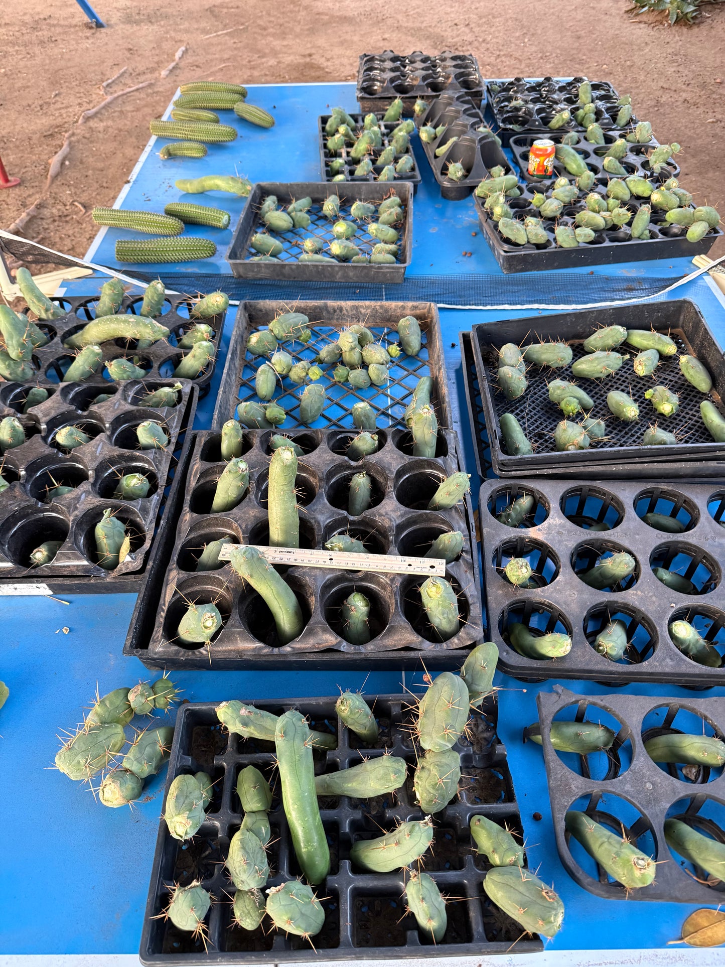 TBM cutting for sale !