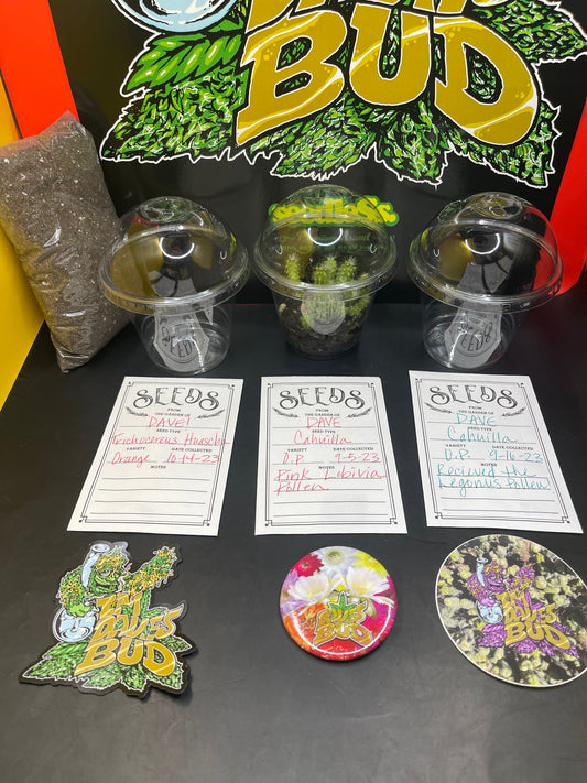 CACTUS seed GROWING KIT !!!