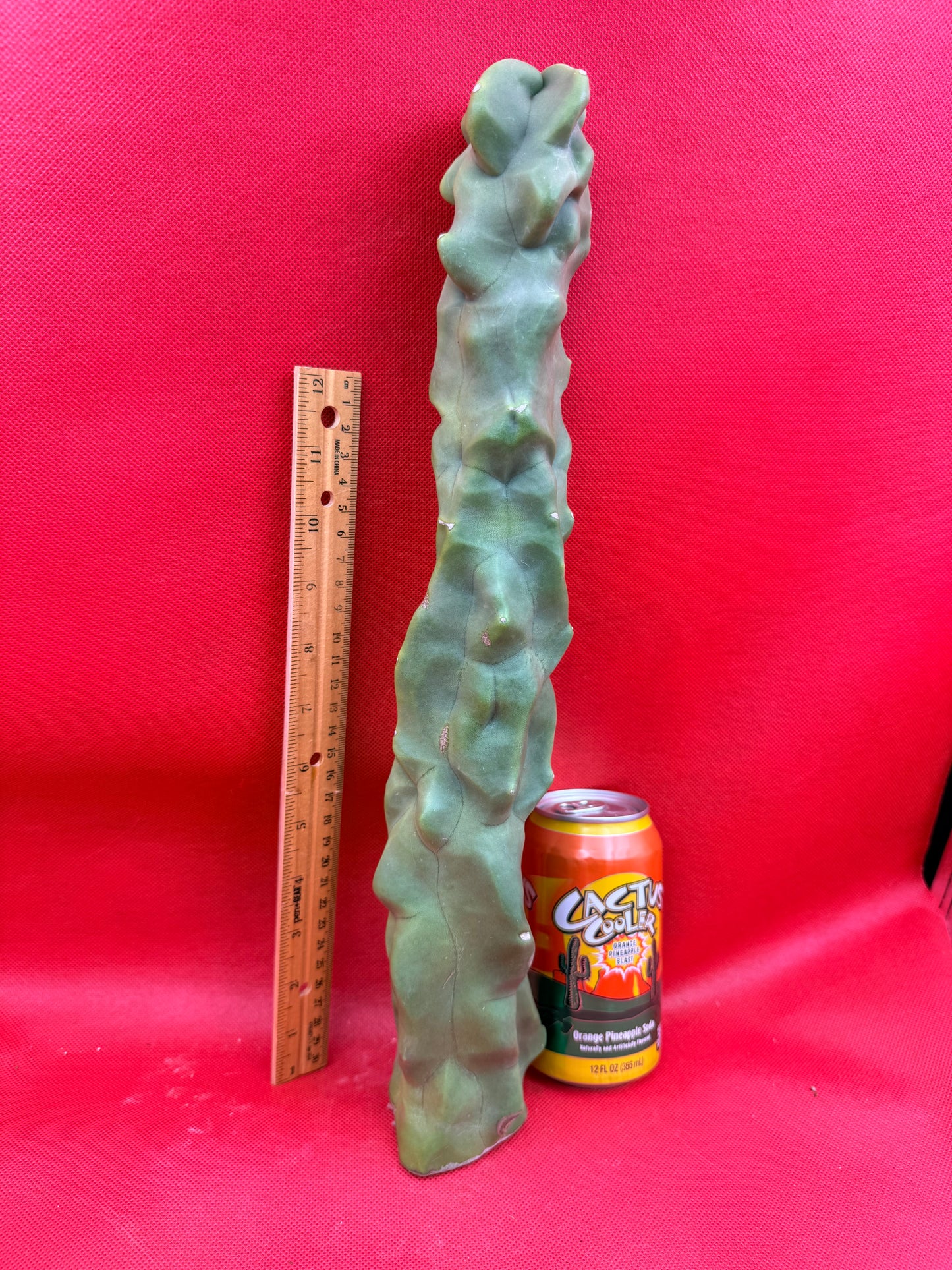 Spineless totem cactus