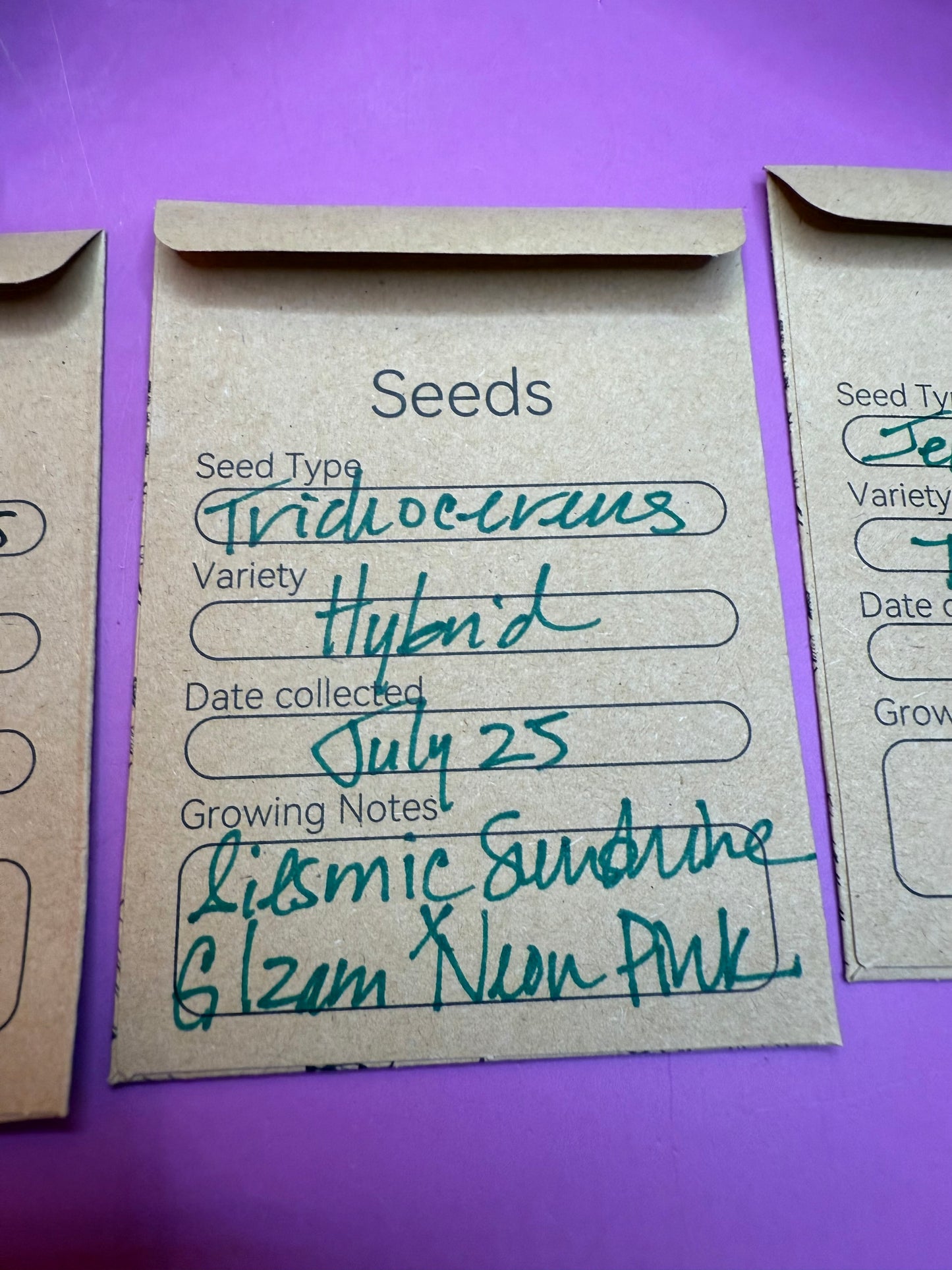 San Pedro Cactus Seed growing KIT !!!