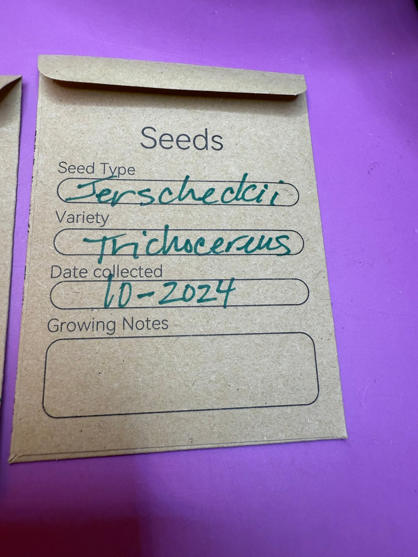 San Pedro Cactus Seed growing KIT !!!