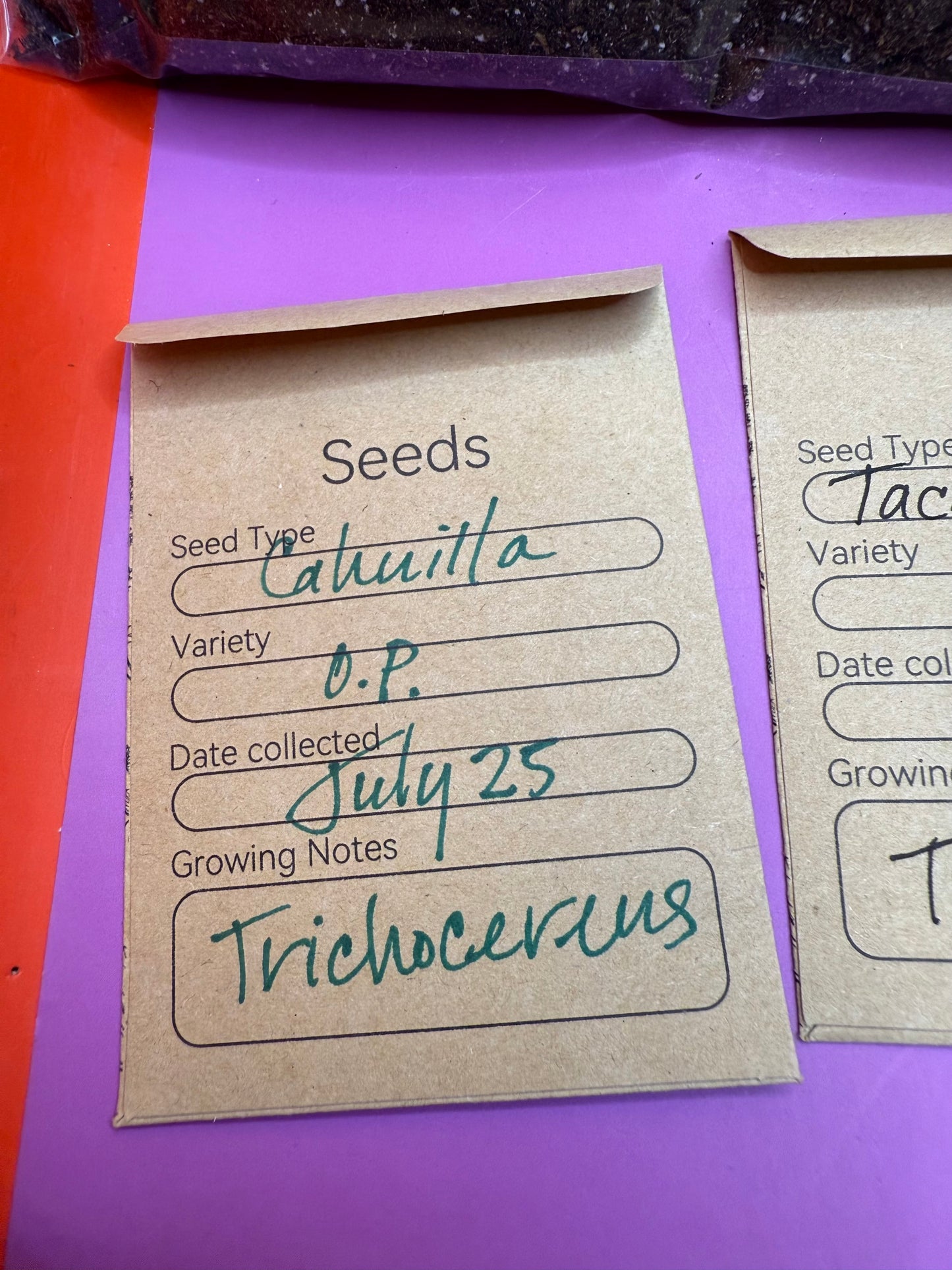 San Pedro Cactus Seed growing KIT !!!