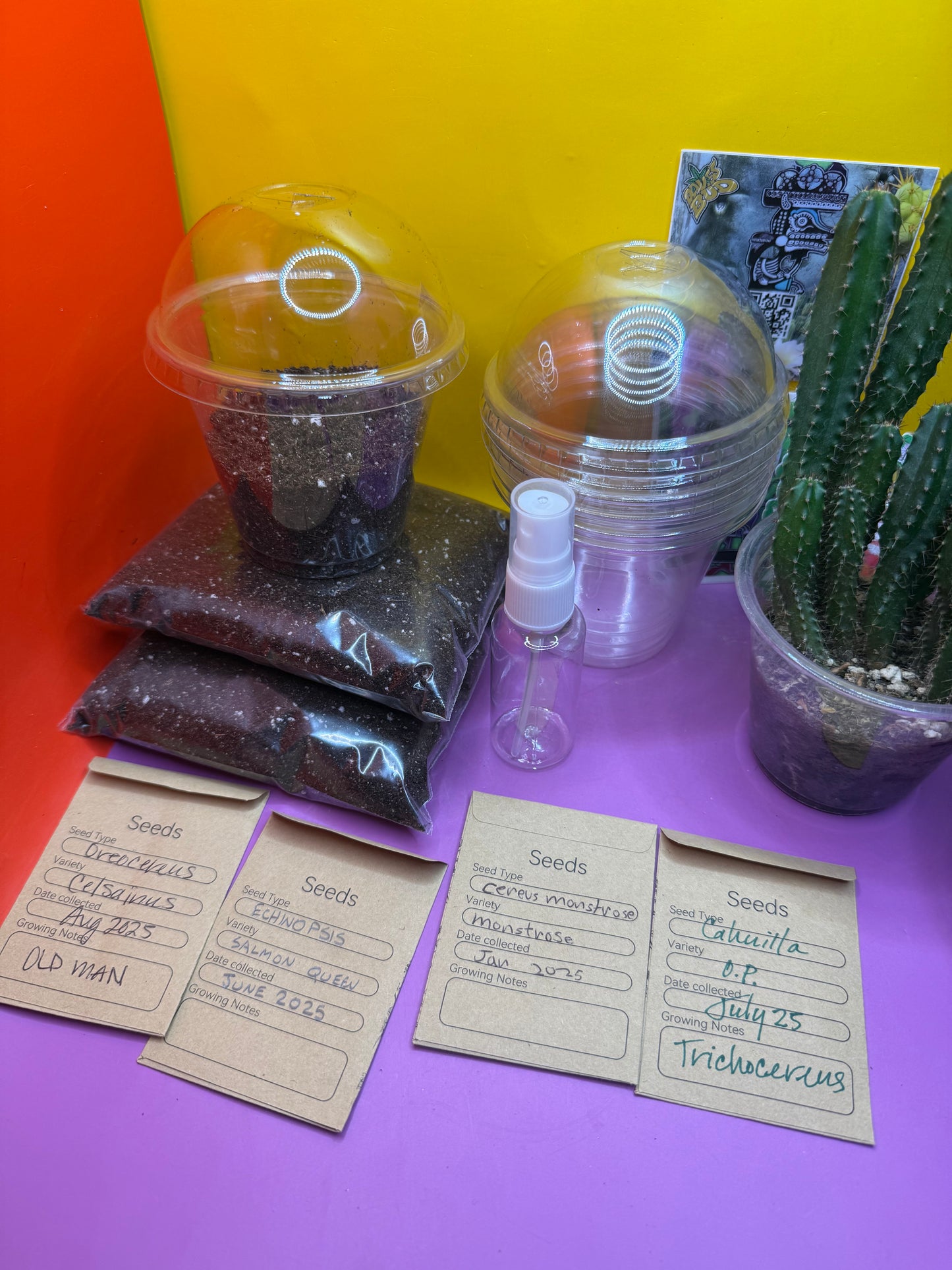 Cactus Seed Growing KIT !