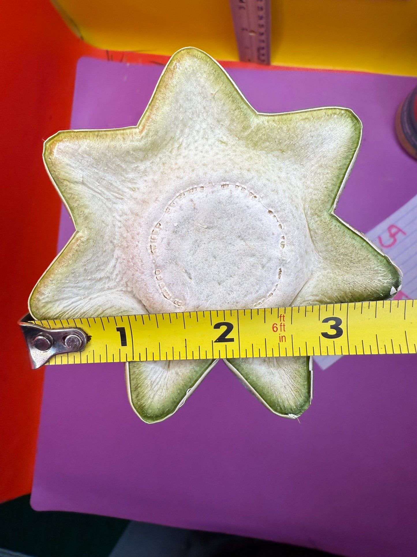 Thick Cahuilla off original motherstand ! !!!