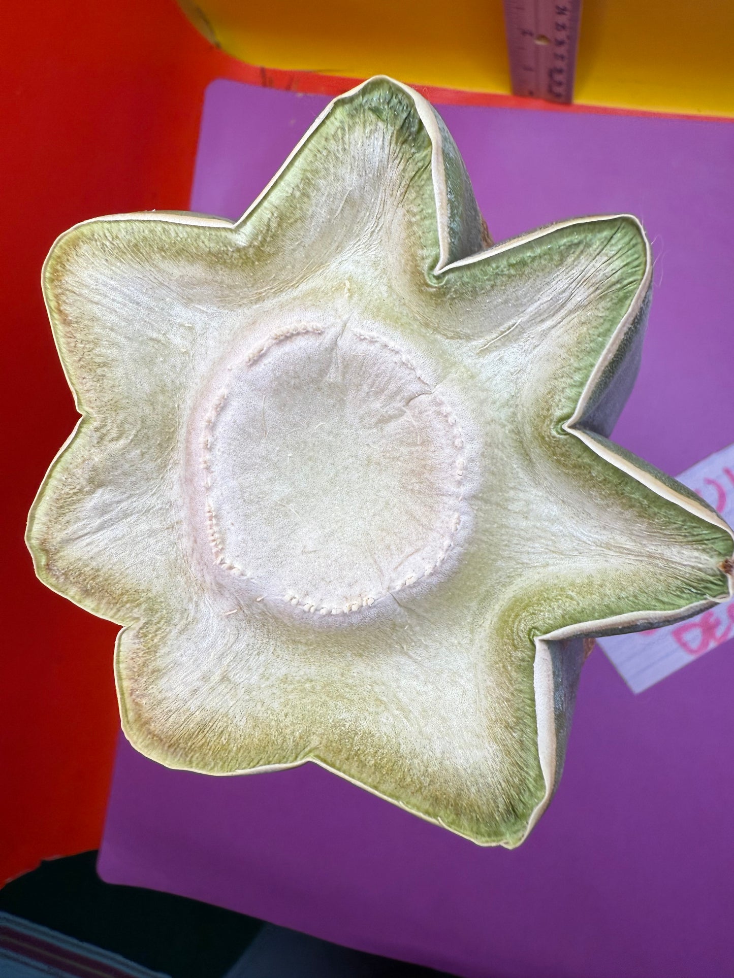 Thick Cahuilla off original motherstand ! !!!