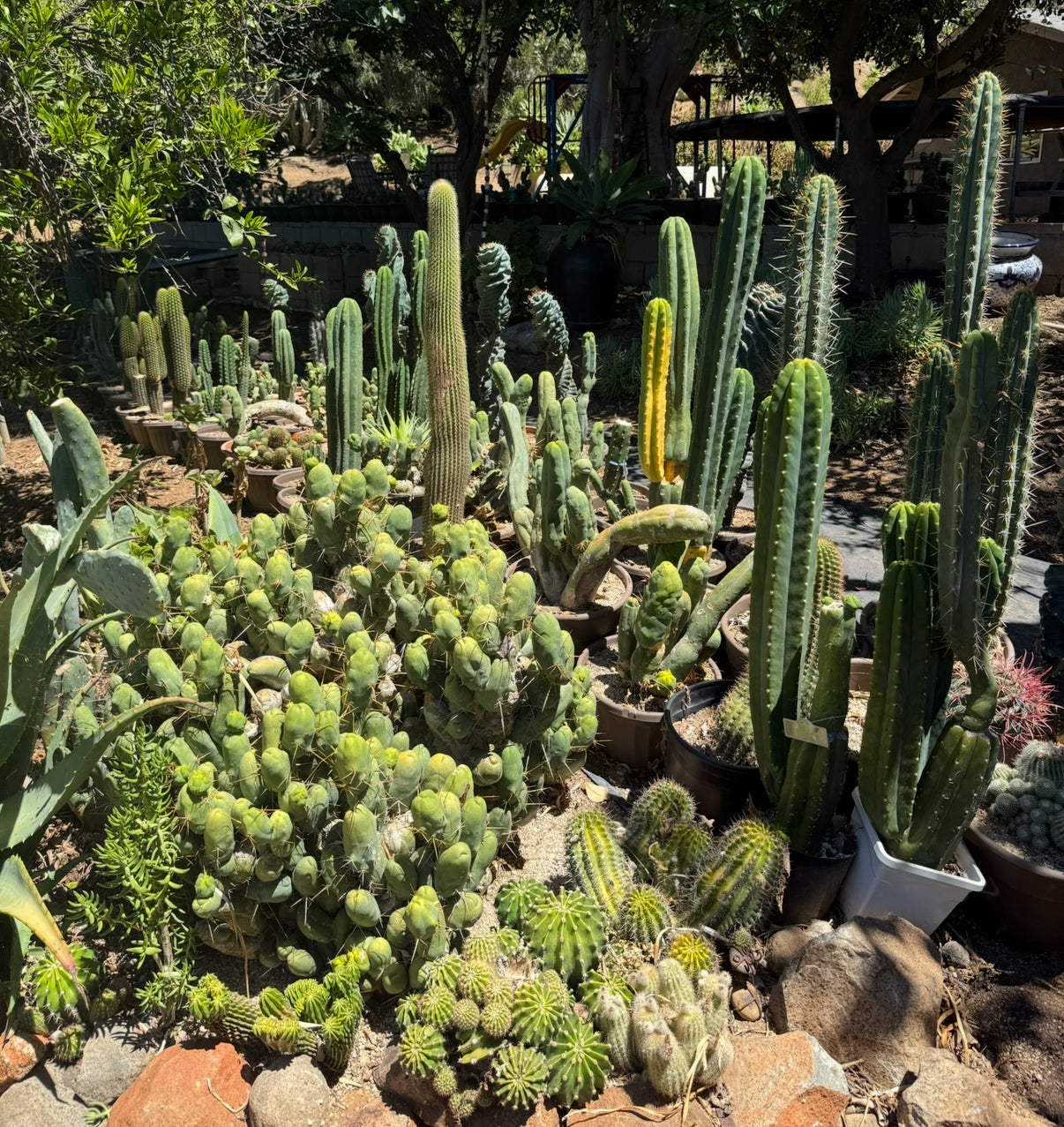 TBM cutting for sale !