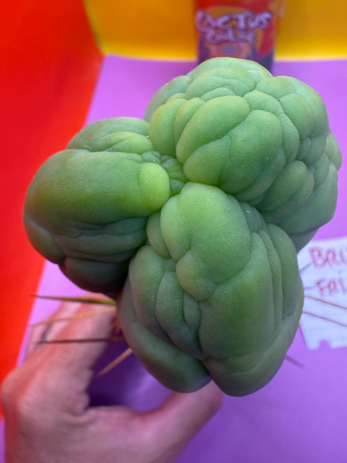 Bruce’s Dragon - almost 3” thick !