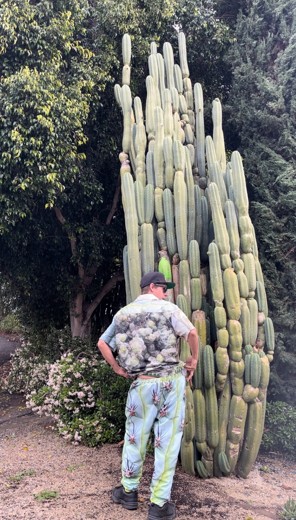 CACTUS PANTS  - real cactus !!!